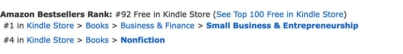 How I Ranked in Amazon’s Top 100 Bestsellers in 8 Hours Self-Publishing a Kindle Book