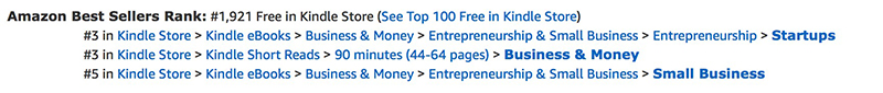 How I Ranked in Amazon’s Top 100 Bestsellers in 8 Hours Self-Publishing a Kindle Book